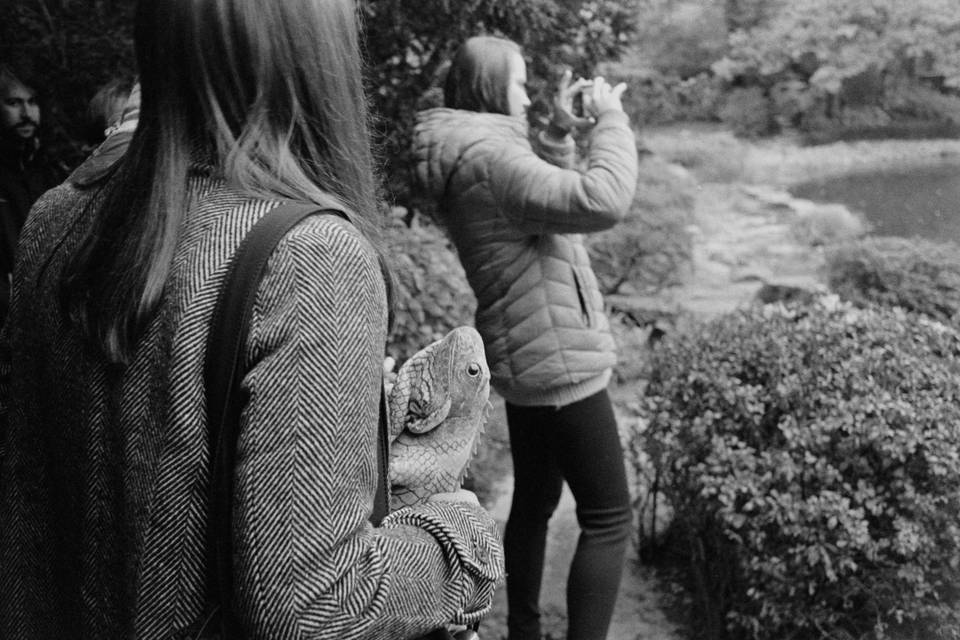 mans-best-friend-7778309